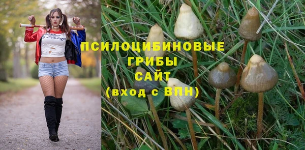 крисы Богданович