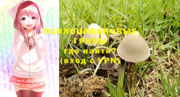 крисы Богданович