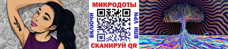 Купить  Бородино  Галлюциногенные грибы Magic Shrooms 